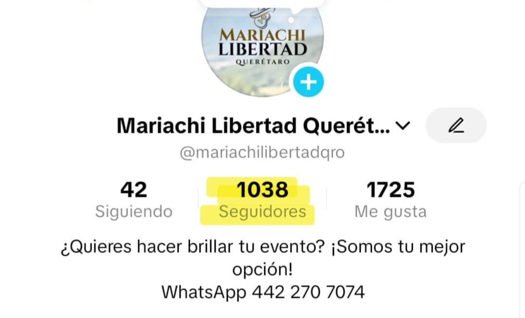 Mariachi Libertad Querétaro Calidad y Repertorio